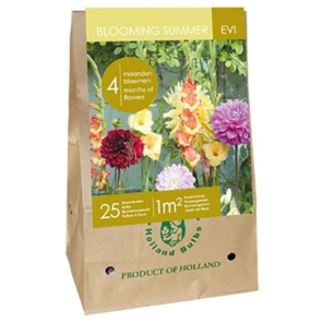 Blooming Summer Evi.png