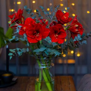 boeket-amaryllis-2.jpg