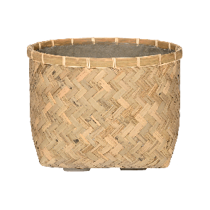 Bohemian bamboo nala_1.png