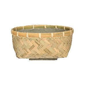 Bohemian bamboo Nala low.png