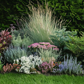 borderpakket droge tuin nieuw.png