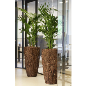 Bosco vase bark 1.png