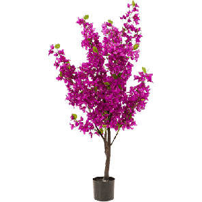 bougainville vertakt paars.png