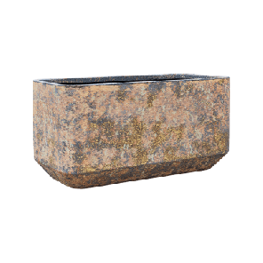 box bruin.png