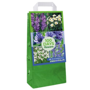 bulb garden blue.png