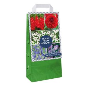 Bulbs From Holland.jpg