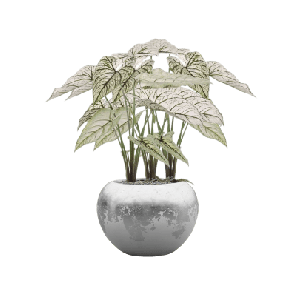 Caladium Luxe Lite Glossy Globe Zilver 1.png