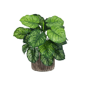 Calathea in Luxe Lite Universe Waterfall Cilinder 1.png
