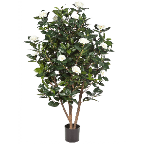 camelia-japonica-white-kunstplant_f98f9d.png