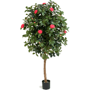 Camelia Vine PNG.png