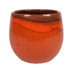 Charlotte Orange.png