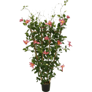 clematis kunstplant.png