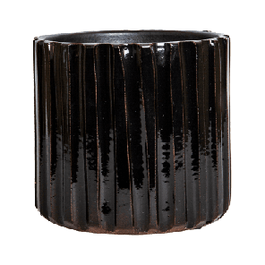 comet black.png