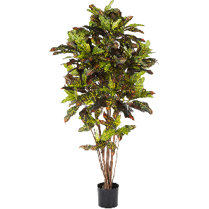 croton-exellent-kunstplant-120-cm_d4835f.png