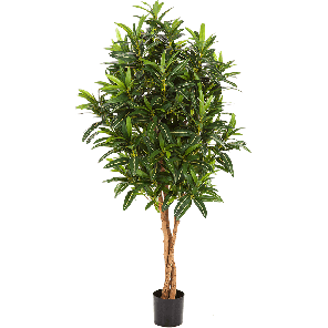 croton-goldfinger-kunstplant_efd7f6.png