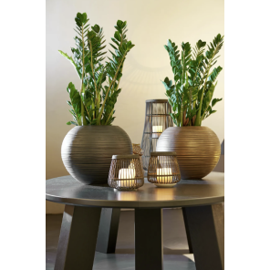 curved globe bronze 1.png