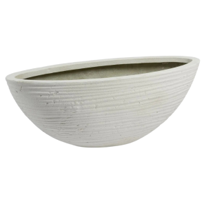 Curved Oval White.png