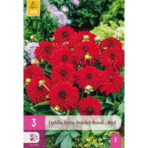Dahlia Deco Border Rood.jpg