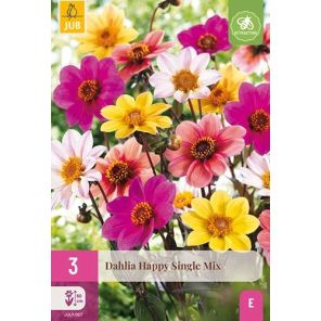 Dahlia Happy Single Mix.jpg
