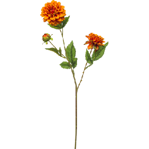 dahlia tak oranje.png