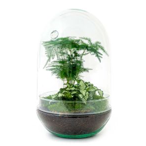 DIY Terrarium Egg Asparagus.jpg