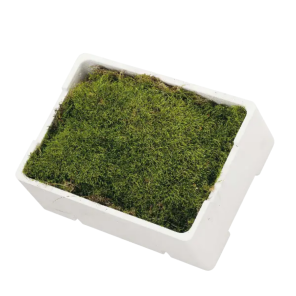 doos platmos (2).png