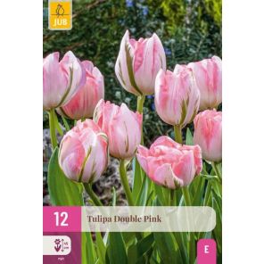 double pink 12.jpg