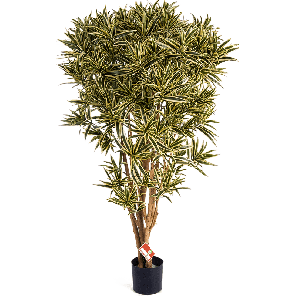 dracaena-reflexa-india-kunstplant-145-cm_9c5dd9.png