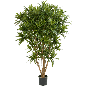 dracaena-reflexa-jamaica-kunstplant_bbdd04.png