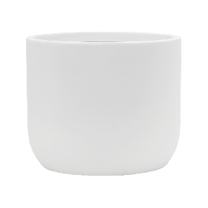 Ease Cylinder wit_1.png