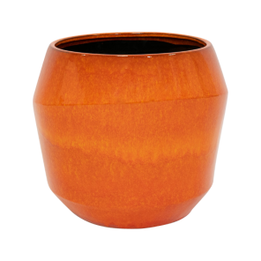 eddy orange.png