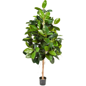 ficus-elastica-kunstplant_7e66e3.png