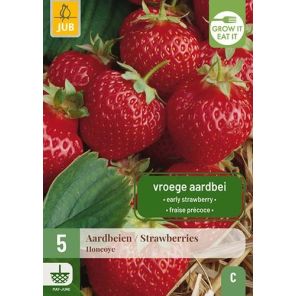 Fragaria Honeoye.jpg