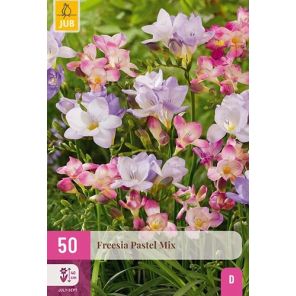 Freesia Pastel Mix.jpg