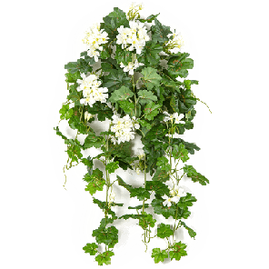 geranium hanger wit.png