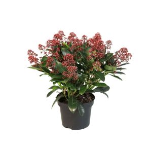 get-image-thumbnail (72)_1.jpg