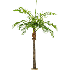 giant-phoenix-palm-kunstplant_3b66fa.png