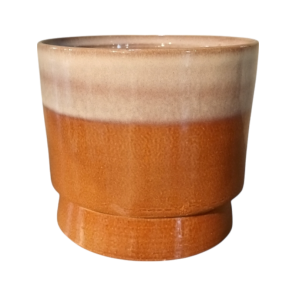 Gina Da Robusto Duo Ocher.png