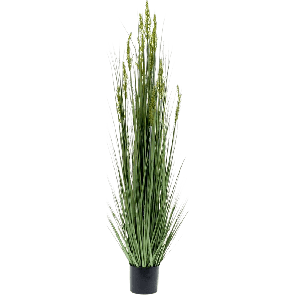 grain-grass-kunstplant_e1d386.png