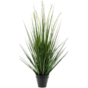 grass-alopecurus-kunstplant_00e644.png