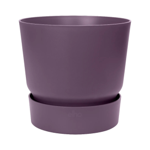 greenville rond paars.png