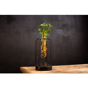 Intenz Turijn (1)_2.JPG