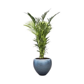 kentia-xxl-pot-ice-blue_4b41cb.jpg