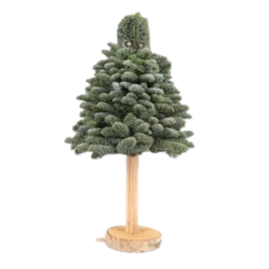 Kerstboom op stam (1).png