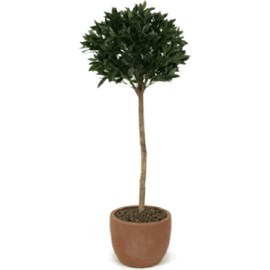 laurus-ball-kunstplant-140-cm_93224f.png