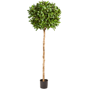 laurus-nobilis-xl-kunstplant_9b3c50.png