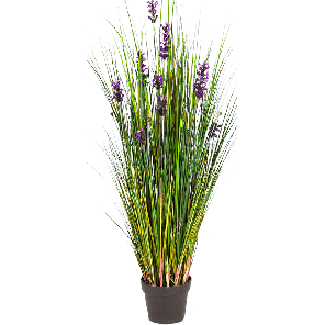 Lavender grass PNG.png