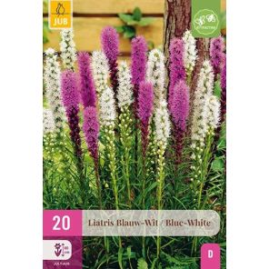 Liatris Blauw Wit.jpg