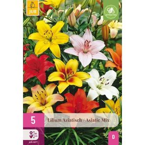 Lilium Aziatisch Mix.jpg
