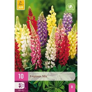 Lupinus Mix.jpg